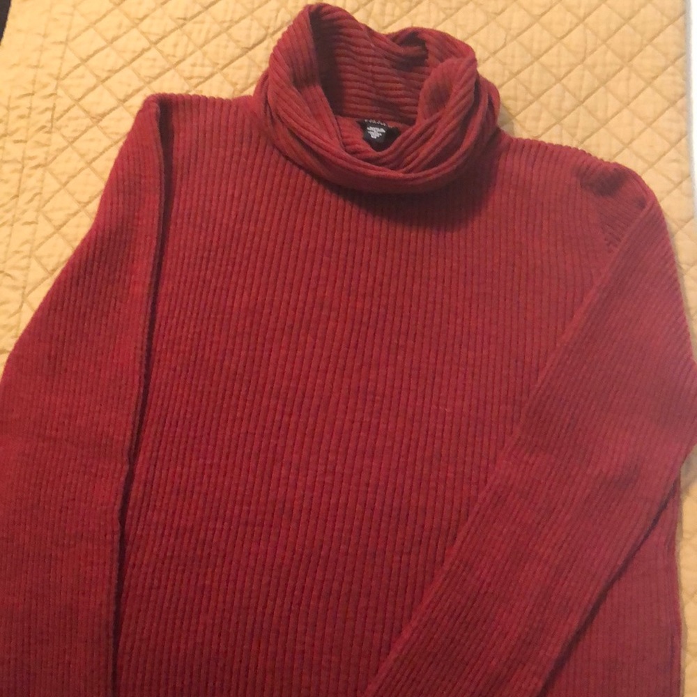 Eileen Fisher 100% Merino Wool Turtleneck